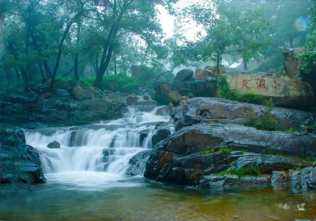 莒南县大店镇：共富基地里的“年味”经济